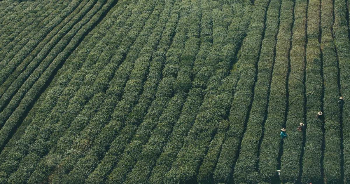 Four Golden Rules of Data Migration [17]  