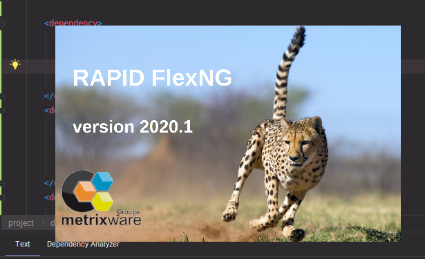 FlexNG: Adobe Flex to Angular 8+ Code Transformation Tool