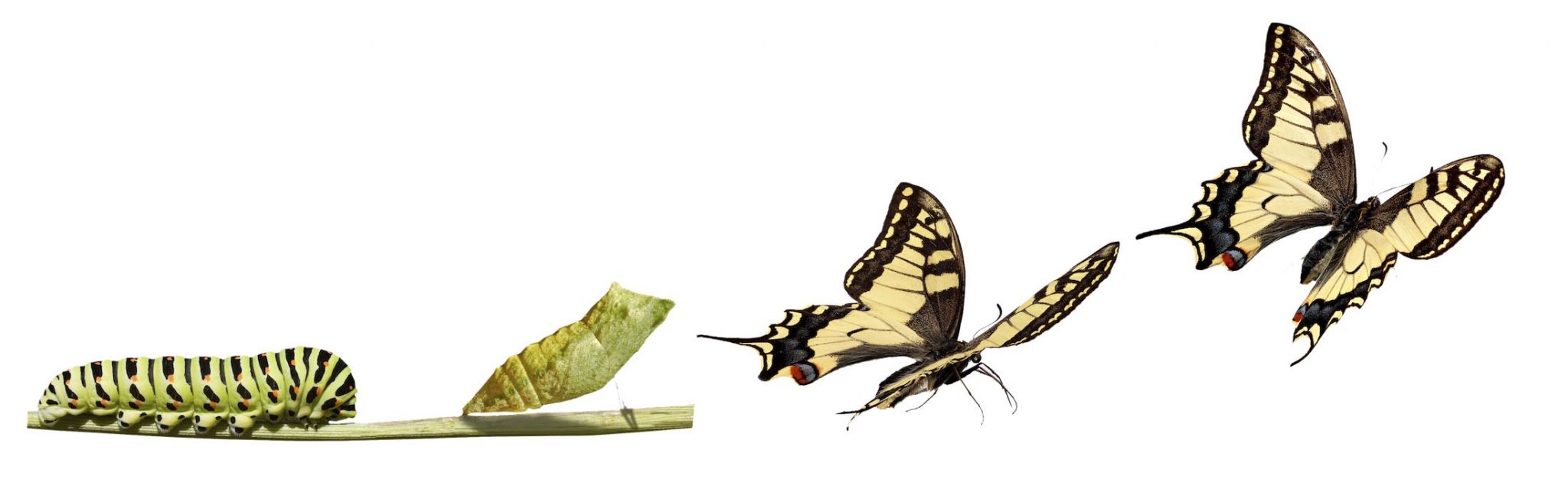 How to do a legacy software migration : a successful checklist